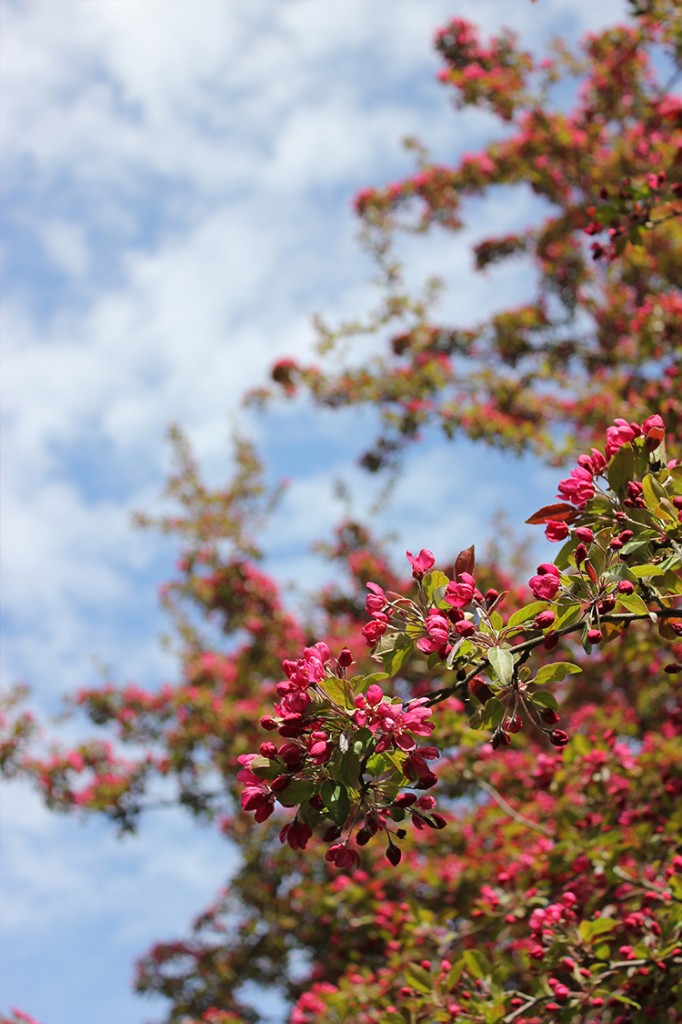 Langdon Hall Flowers