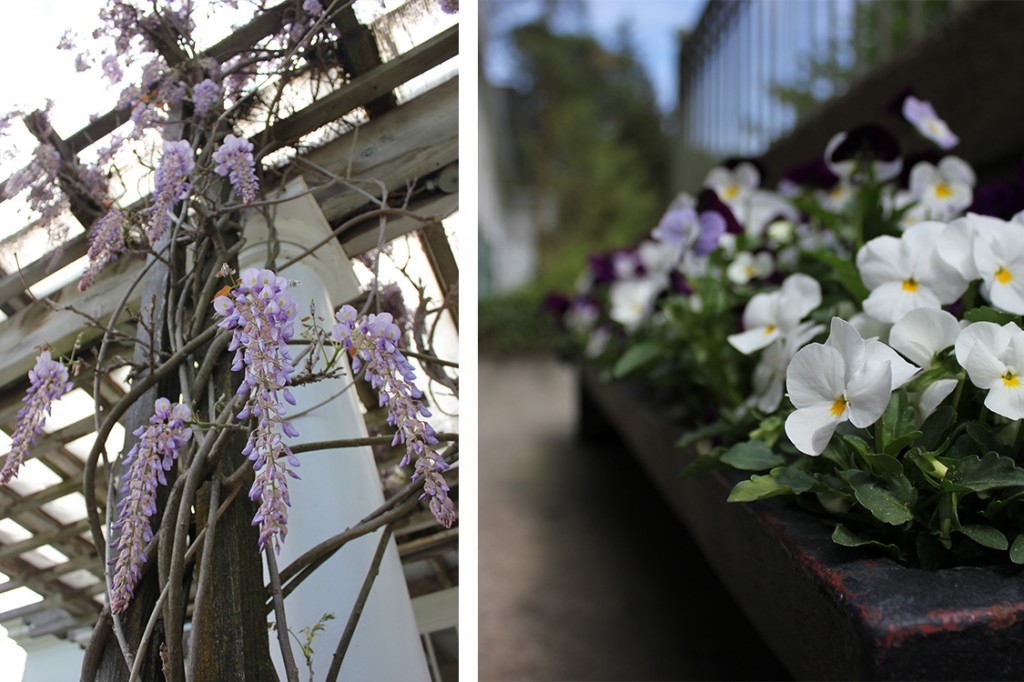 Langdon Hall Flowers