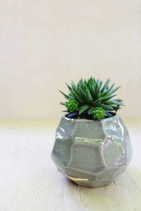 Style Bee - Succulent Survival Guide