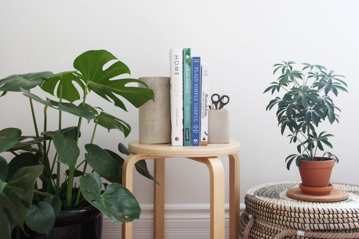 Style Bee - My Go-To Home Design and Plant Books