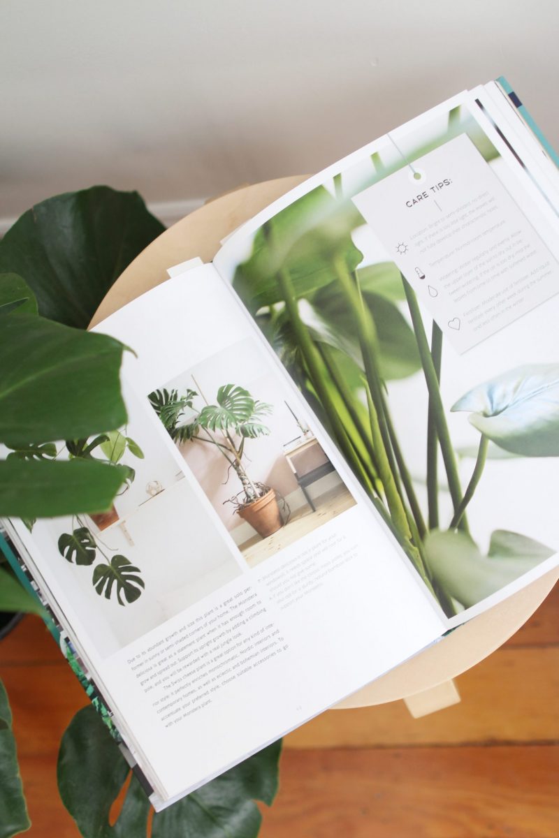 Style Bee - My Go-To Home Design and Plant Books