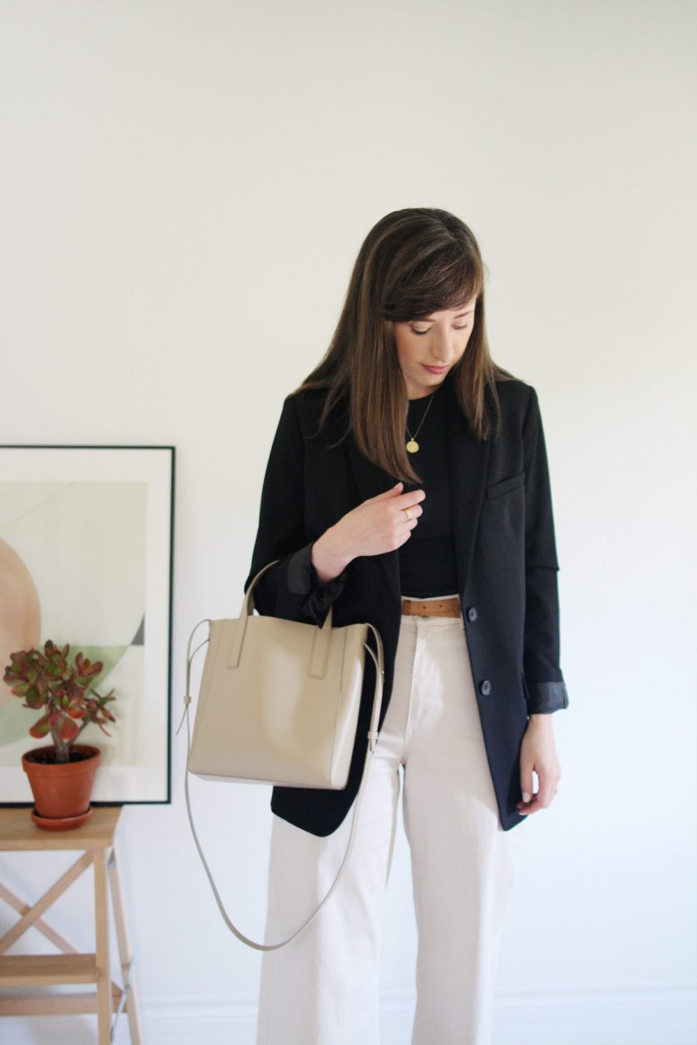 Everlane mini day outlet tote